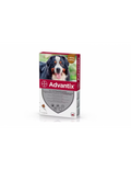 ADVANTIX 40-60 KG: Topical Solution for Flea and Tick Control - MAYONAL STORE